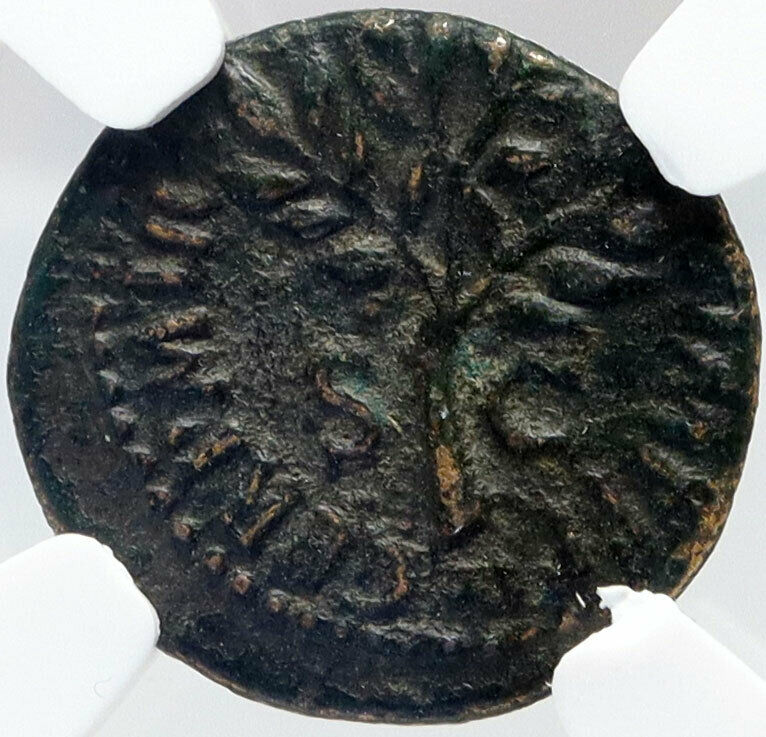 NERO Authentic Ancient 64AD Rome QUADRANS Roman Coin HELMET SHIELD NGC i82897