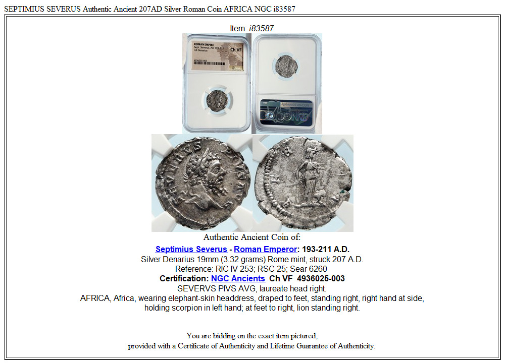 SEPTIMIUS SEVERUS Authentic Ancient 207AD Silver Roman Coin AFRICA NGC i83587