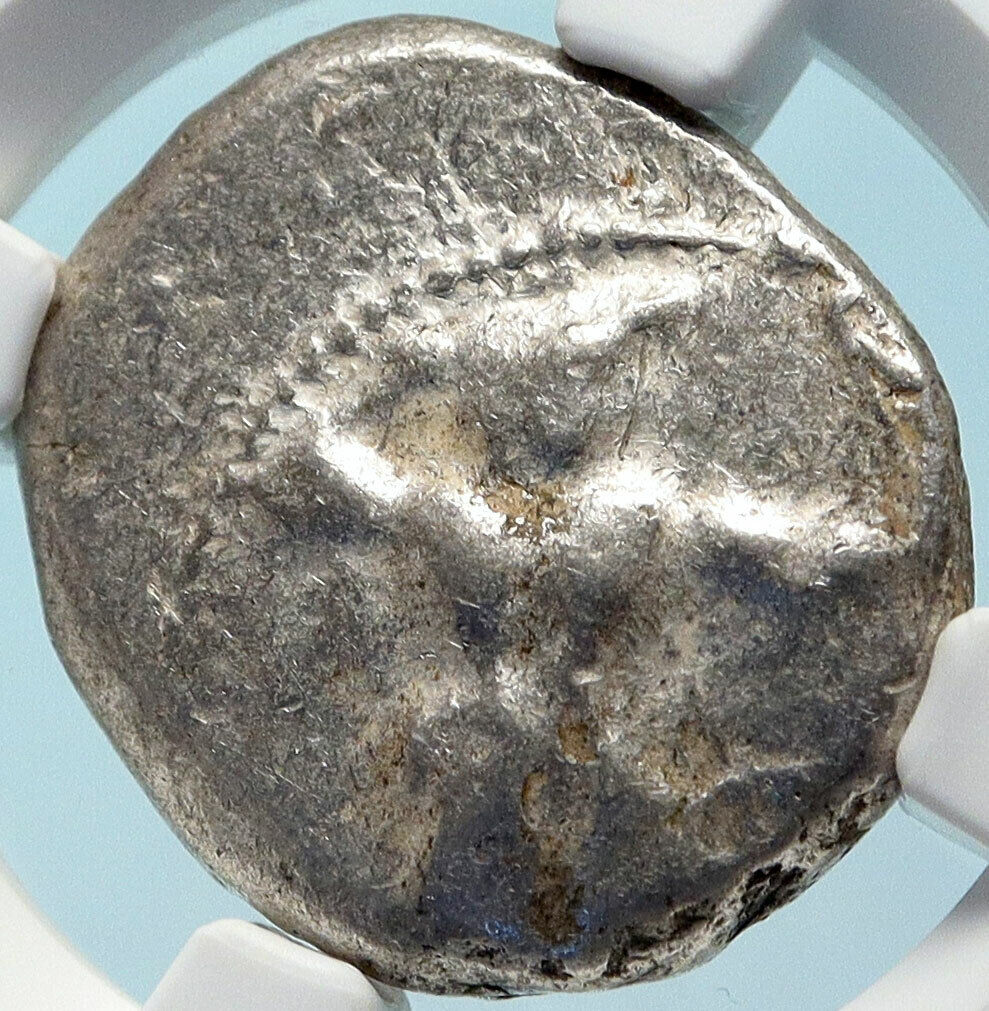 CITIUM Kition CYPRUS Authentic Ancient Silver Greek Coin HERCULES NGC i83837