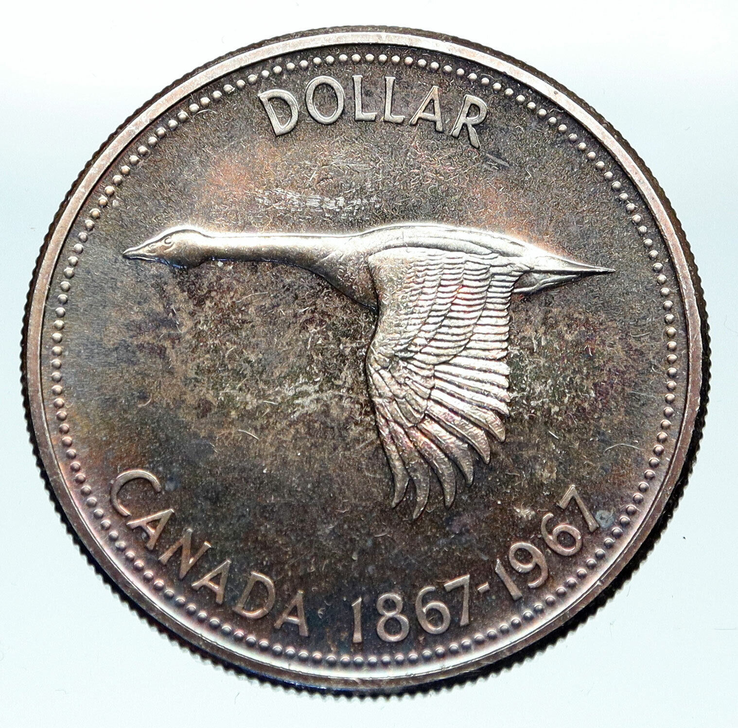 1967 CANADA Confederation Founding OLD Goose Genuine Silver Dollar Coin i83664
