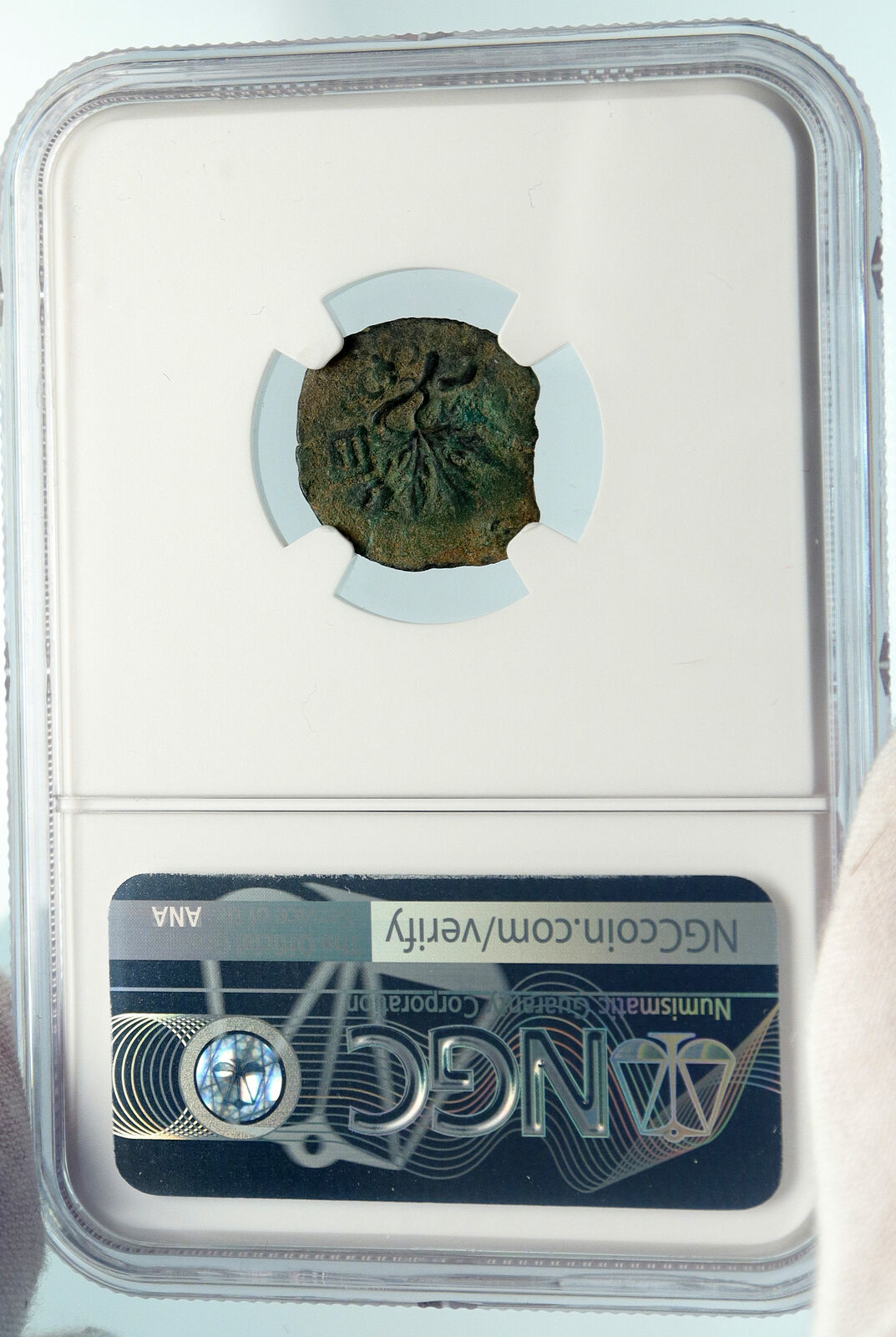 Authentic Ancient JEWISH WAR v ROMANS 68AD Yr3 JERUSALEM Coin AMPHORA NGC i84441