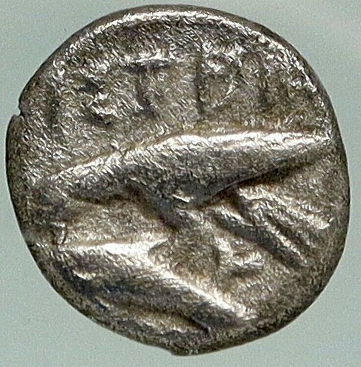 ISTROS in THRACE Authentic Ancient 400BC Rare Silver OBOL GREEK Coin NGC i84947