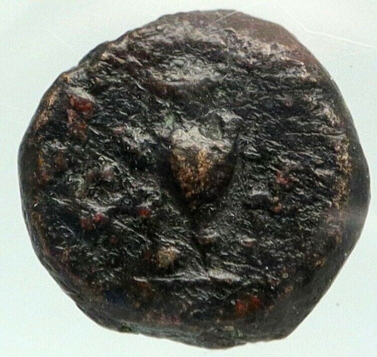 MYRINA in AEOLIS Authentic Ancient 350BC Greek Coin ATHENA AMPHORA NGC i84943