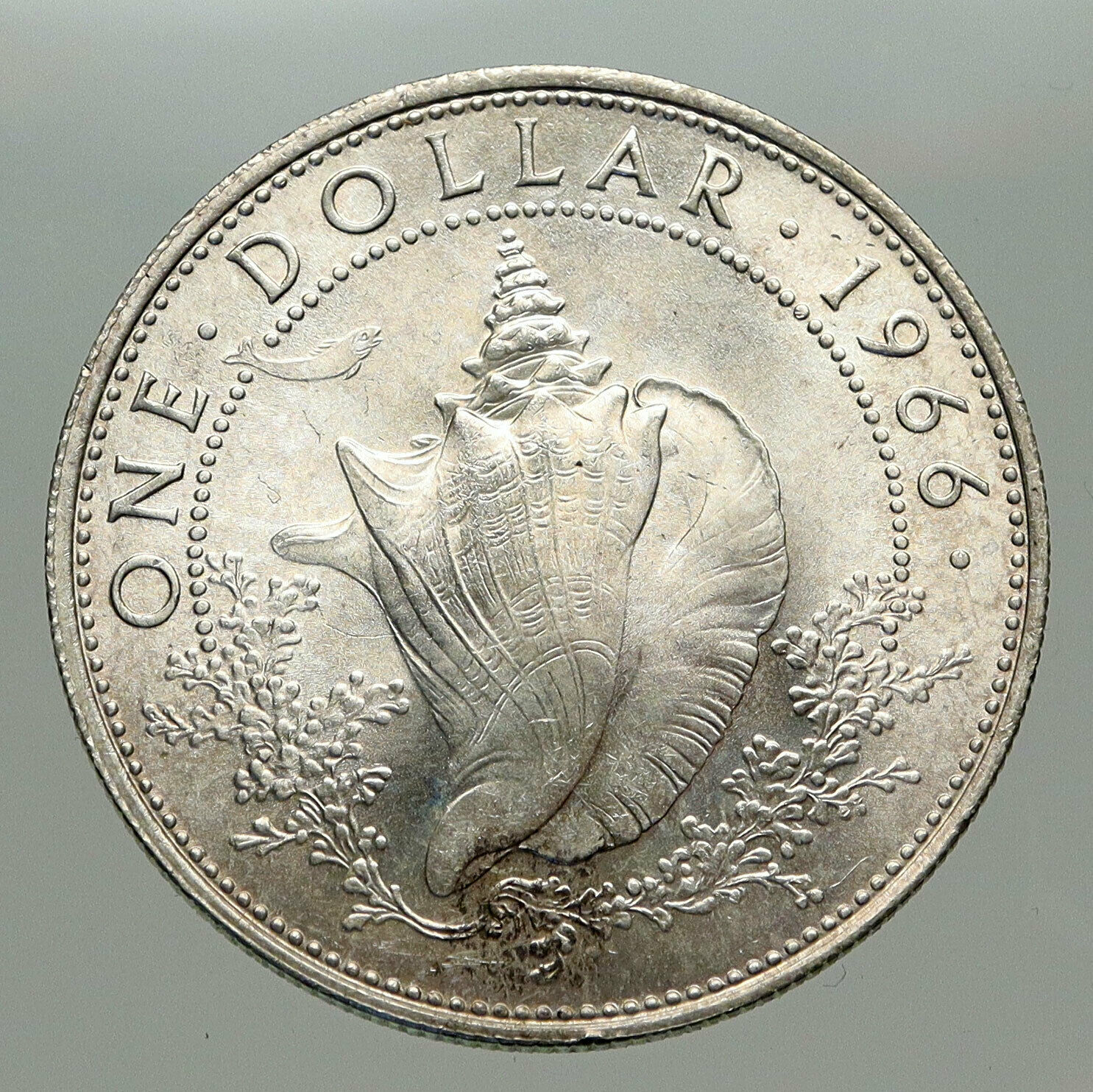 1966 BAHAMAS British Queen Elizabeth II w CONCH SHELL Silver Dollar Coin i85129