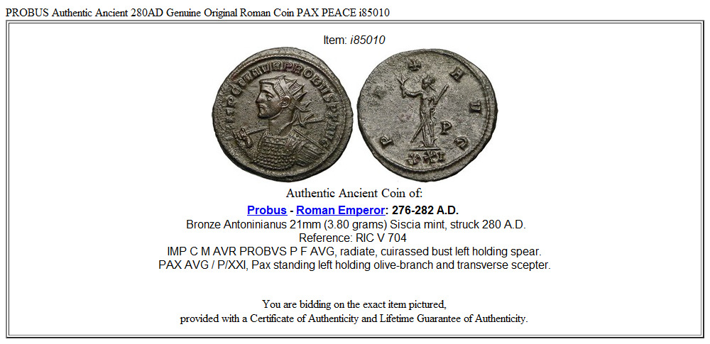 PROBUS Authentic Ancient 280AD Genuine Original Roman Coin PAX PEACE i85010