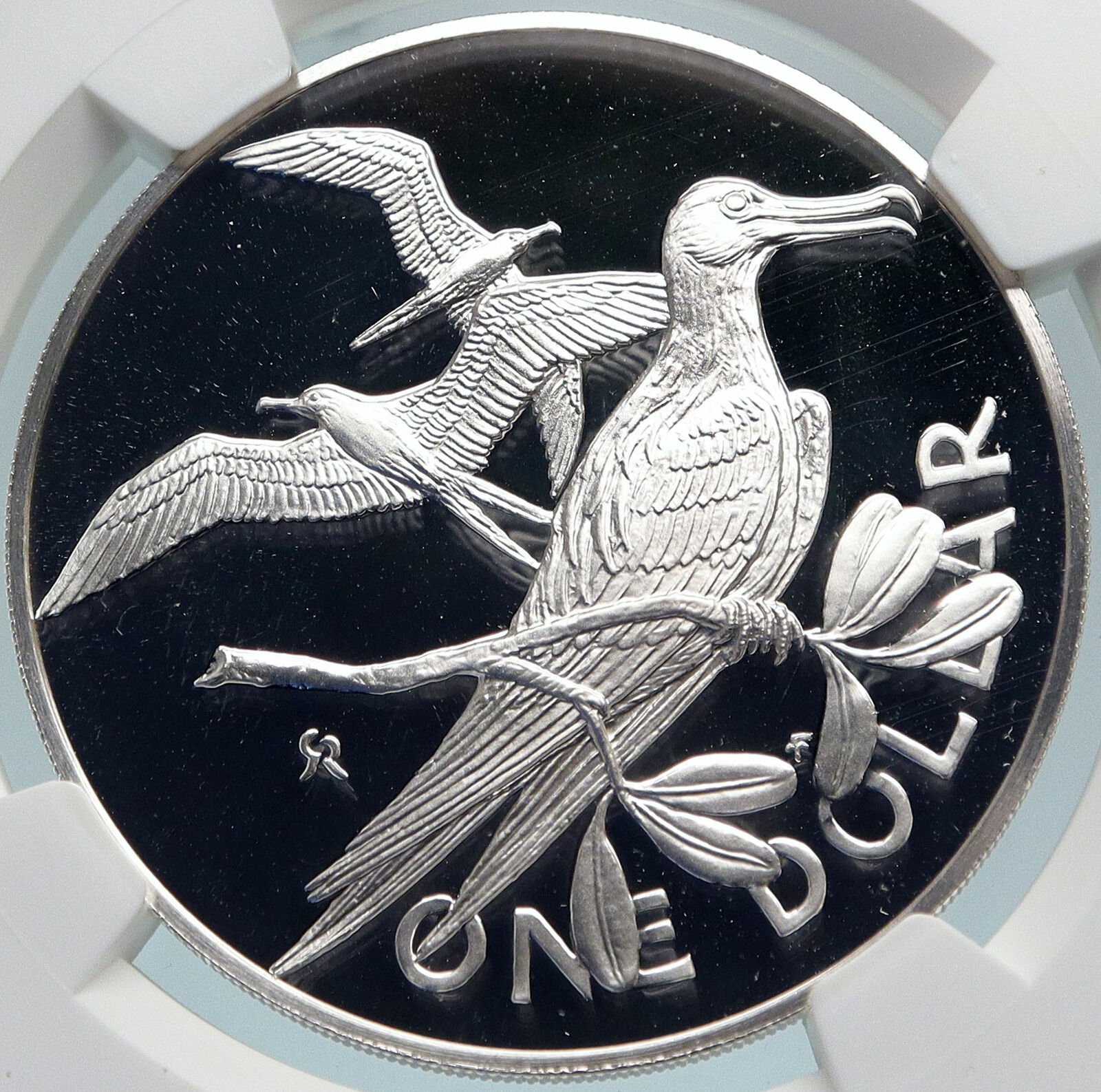 1973 British Virgin Islands Queen Elizabeth II BIRD Proof Silver Coin NGC i85064