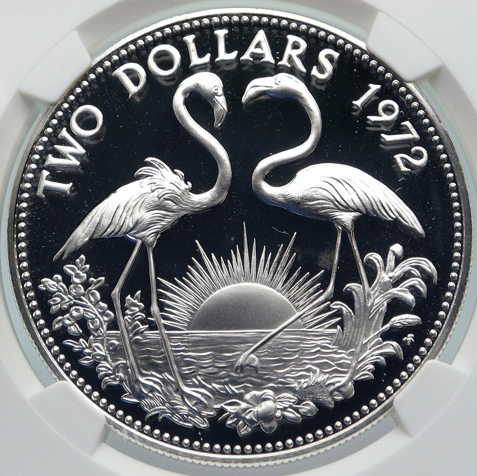 1972 The BAHAMAS Old Queen Elizabeth II FLAMINGO Proof Silver $2 Coin NGC i85375