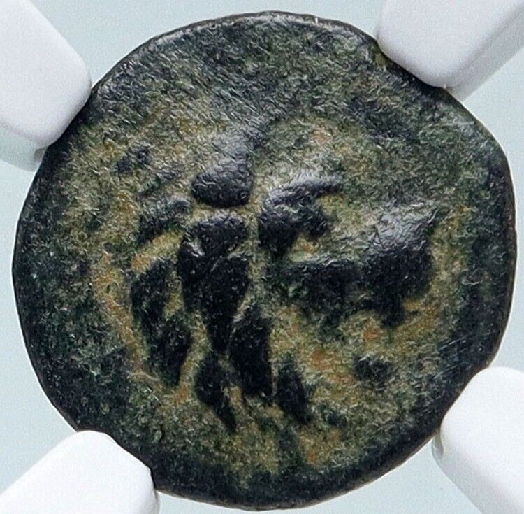 ANTIOCHOS VII Sidetes 138BC Seleukid Ancient Greek Coin NEMEAN LION NGC i85725