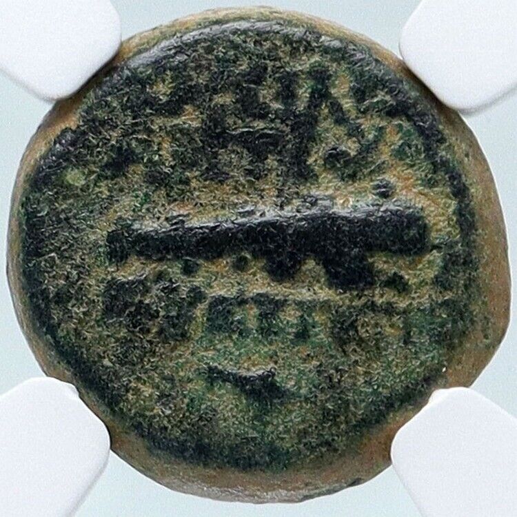 ANTIOCHOS VII Sidetes 138BC Seleukid Ancient Greek Coin NEMEAN LION NGC i85725