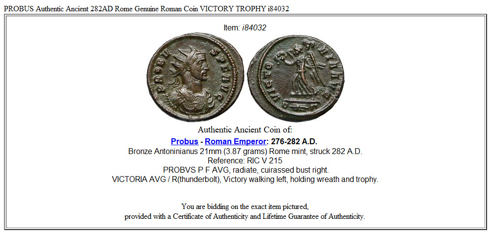 PROBUS Authentic Ancient 282AD Rome Genuine Roman Coin VICTORY TROPHY i84032