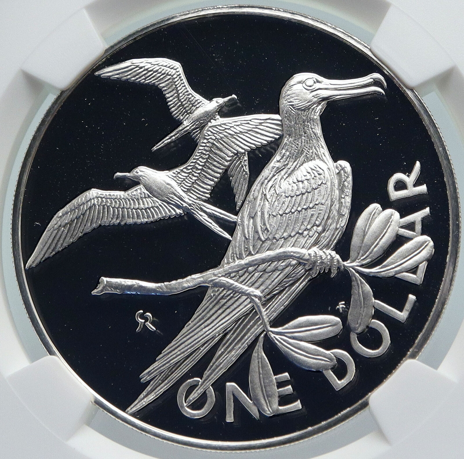 1975 British Virgin Islands Queen Elizabeth II BIRD Proof Silver Coin NGC i85986