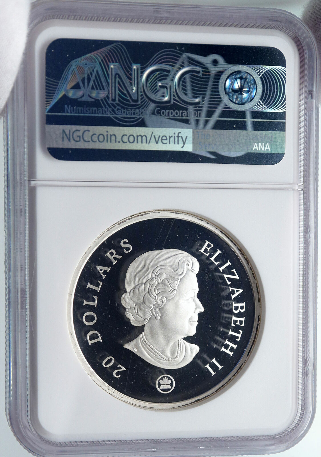 2008 CANADA Queen Elizabeth II 7 SWAROVSKI GEMS Snow Silver $20 Coin NGC i86003