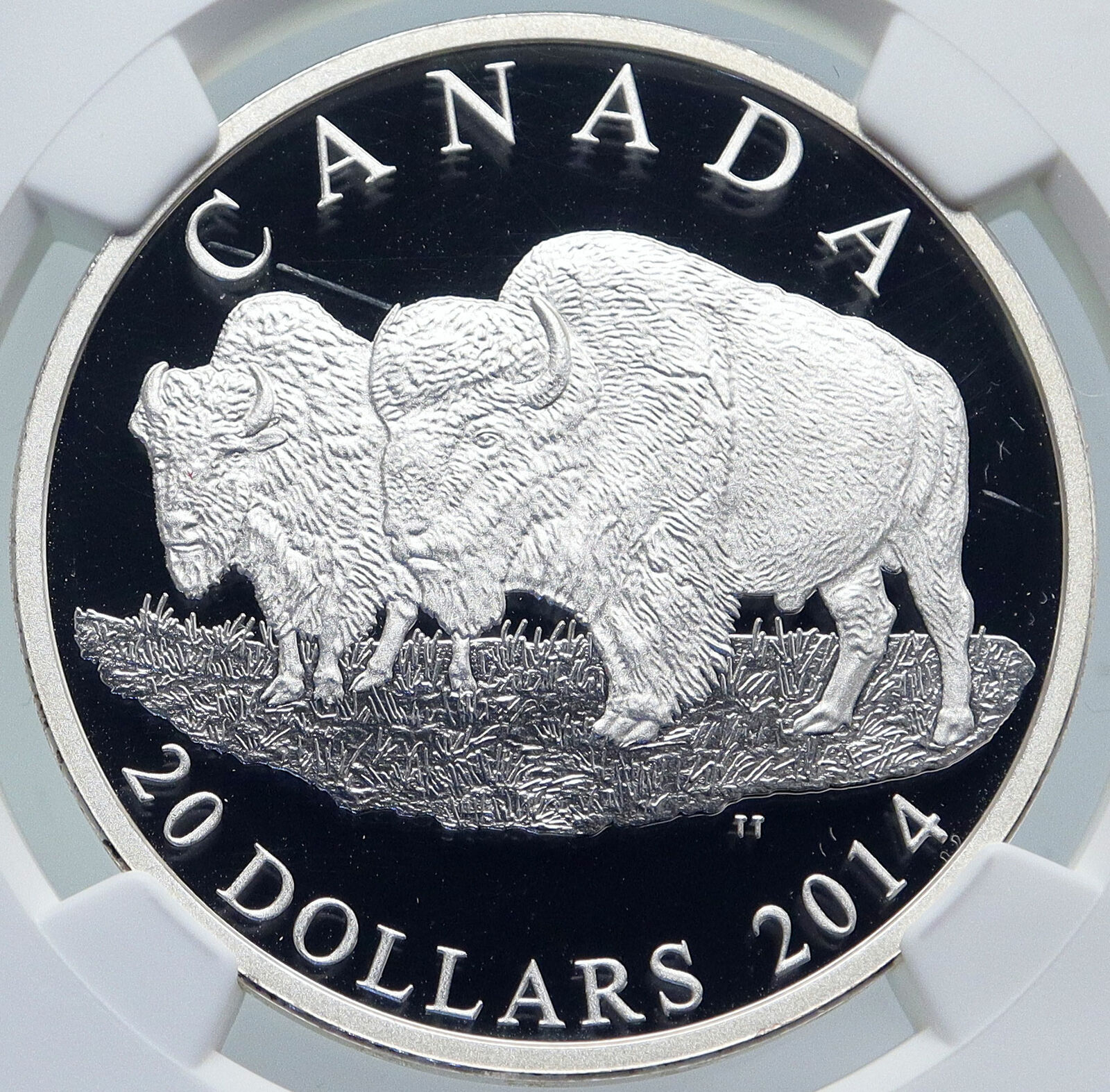 2014 CANADA UK Queen Elizabeth II BULL & MATE Proof Silver $20 Coin NGC i86160