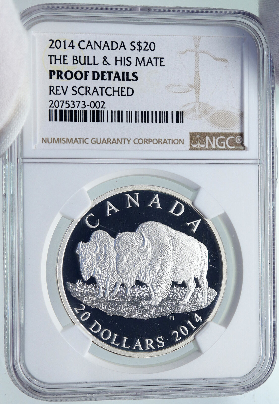 2014 CANADA UK Queen Elizabeth II BULL & MATE Proof Silver $20 Coin NGC i86160