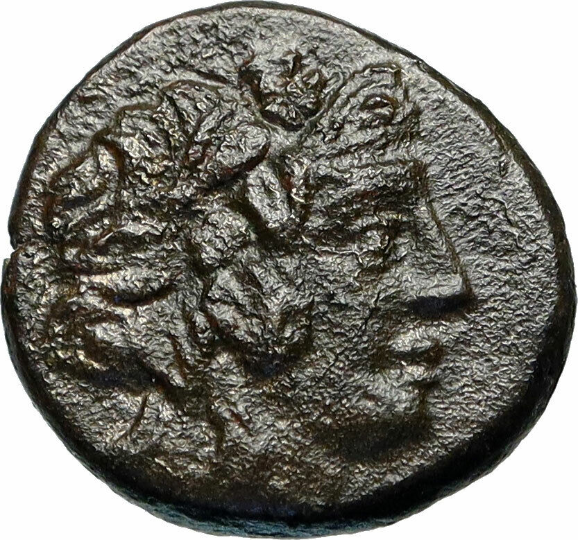 AMISOS in PONTUS 100BC Mithradates VI Time Ancient Greek Coin DIONYSUS i84306