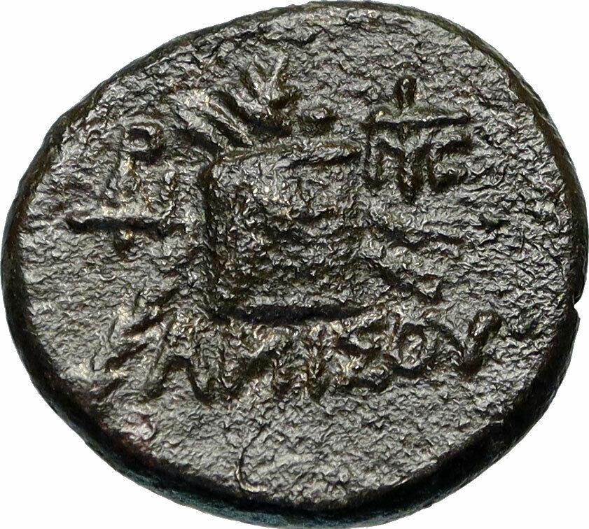 AMISOS in PONTUS 100BC Mithradates VI Time Ancient Greek Coin DIONYSUS i84306