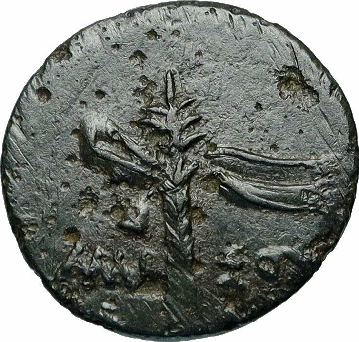 AMISOS in PONTUS 105BC Mithradates VI Time Ancient Greek Coin DIONYSUS i84324