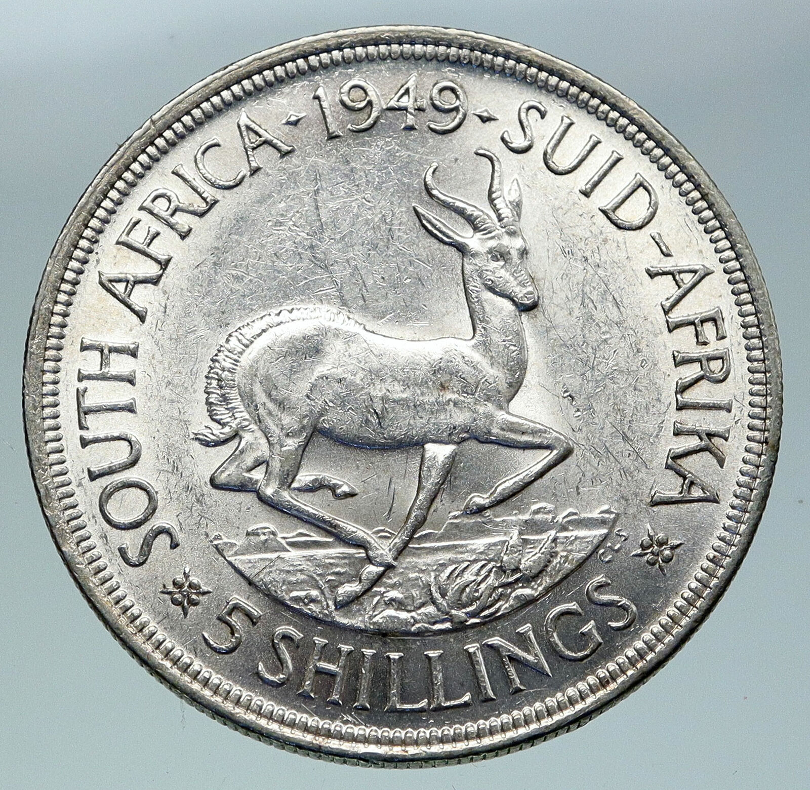 1949 SOUTH AFRICA George VI SPRINGBOK Deer Silver 5 Shillings LARGE Coin i86507