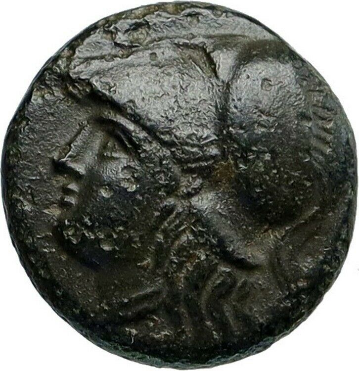 ELAIA in AEOLIS Original Authentic Ancient 400BC Greek Coin ATHENA GRAIN i86740