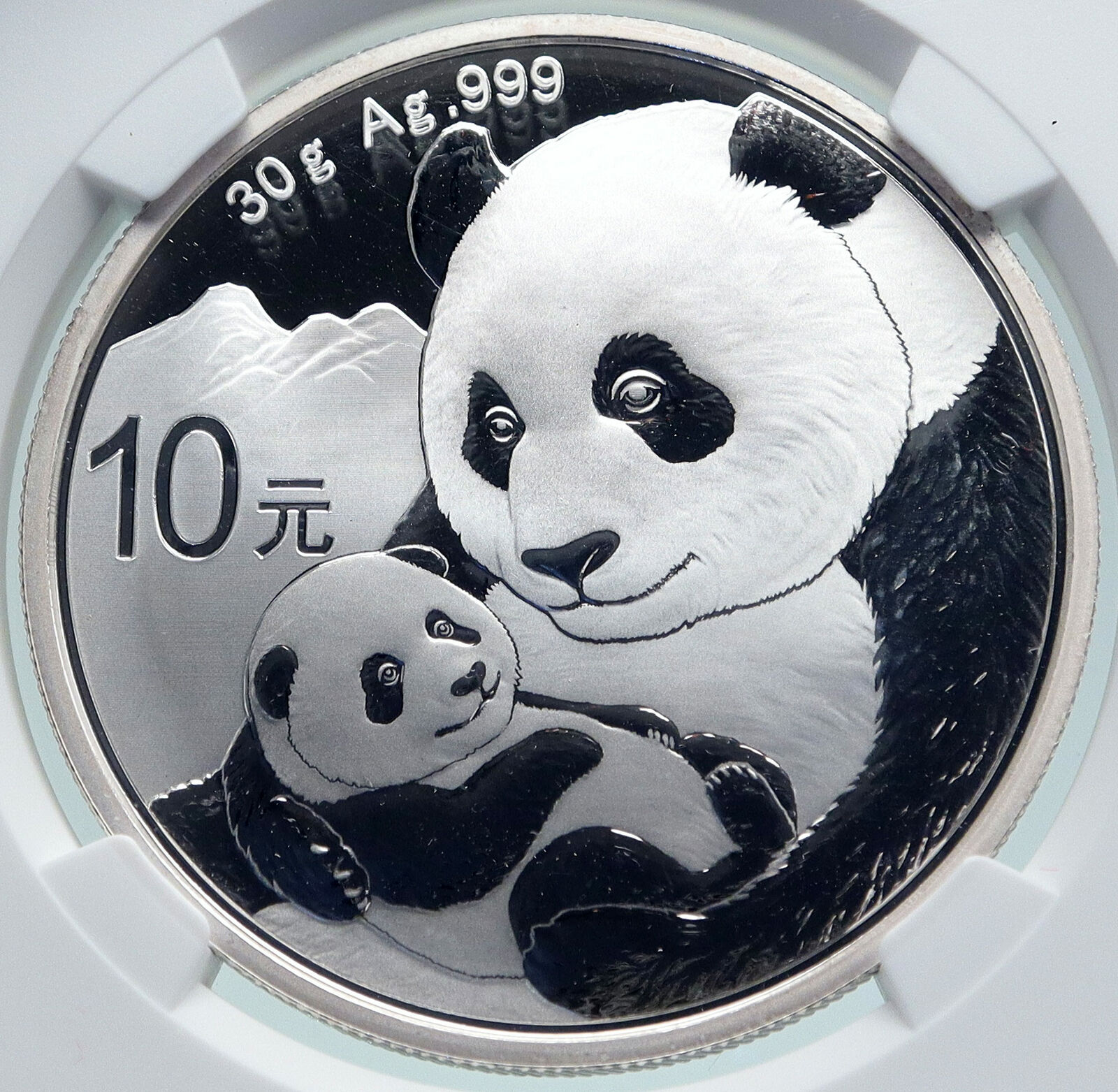 2019 CHINA PANDA MOM with CUB Proof Silver 10 Yuan Chinese Coin NGC MS70 i86681