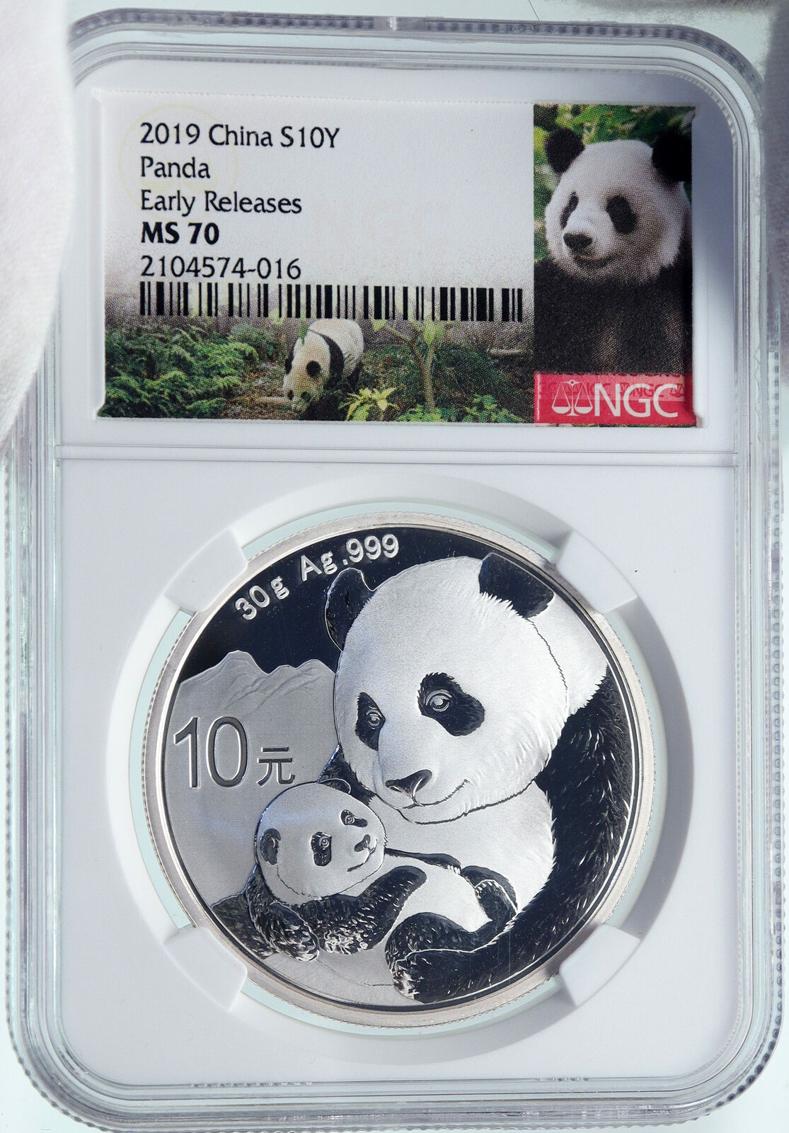 2019 CHINA PANDA MOM with CUB Proof Silver 10 Yuan Chinese Coin NGC MS70 i86681