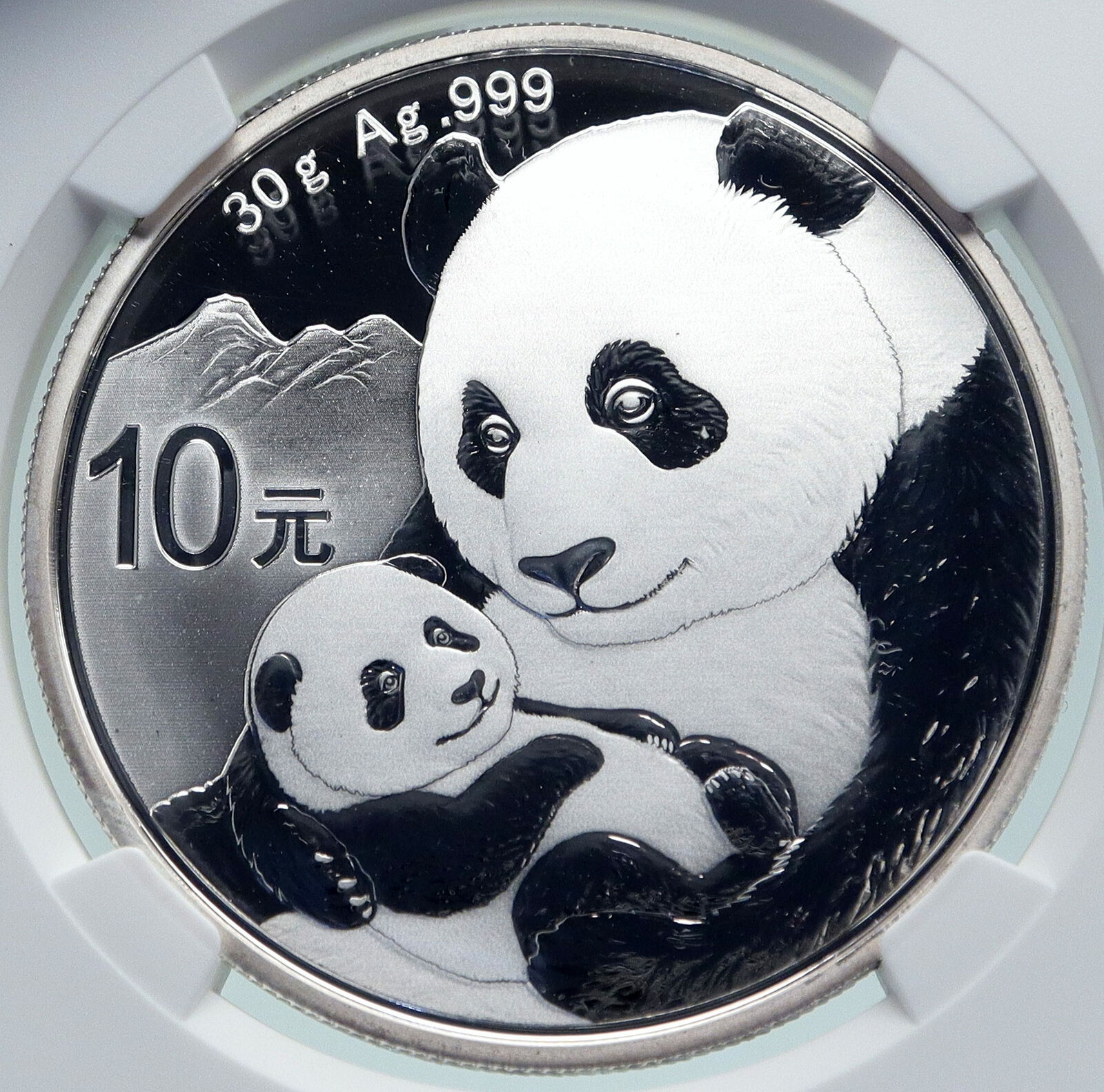 2019 CHINA PANDA MOM with CUB Proof Silver 10 Yuan Chinese Coin NGC MS70 i86684