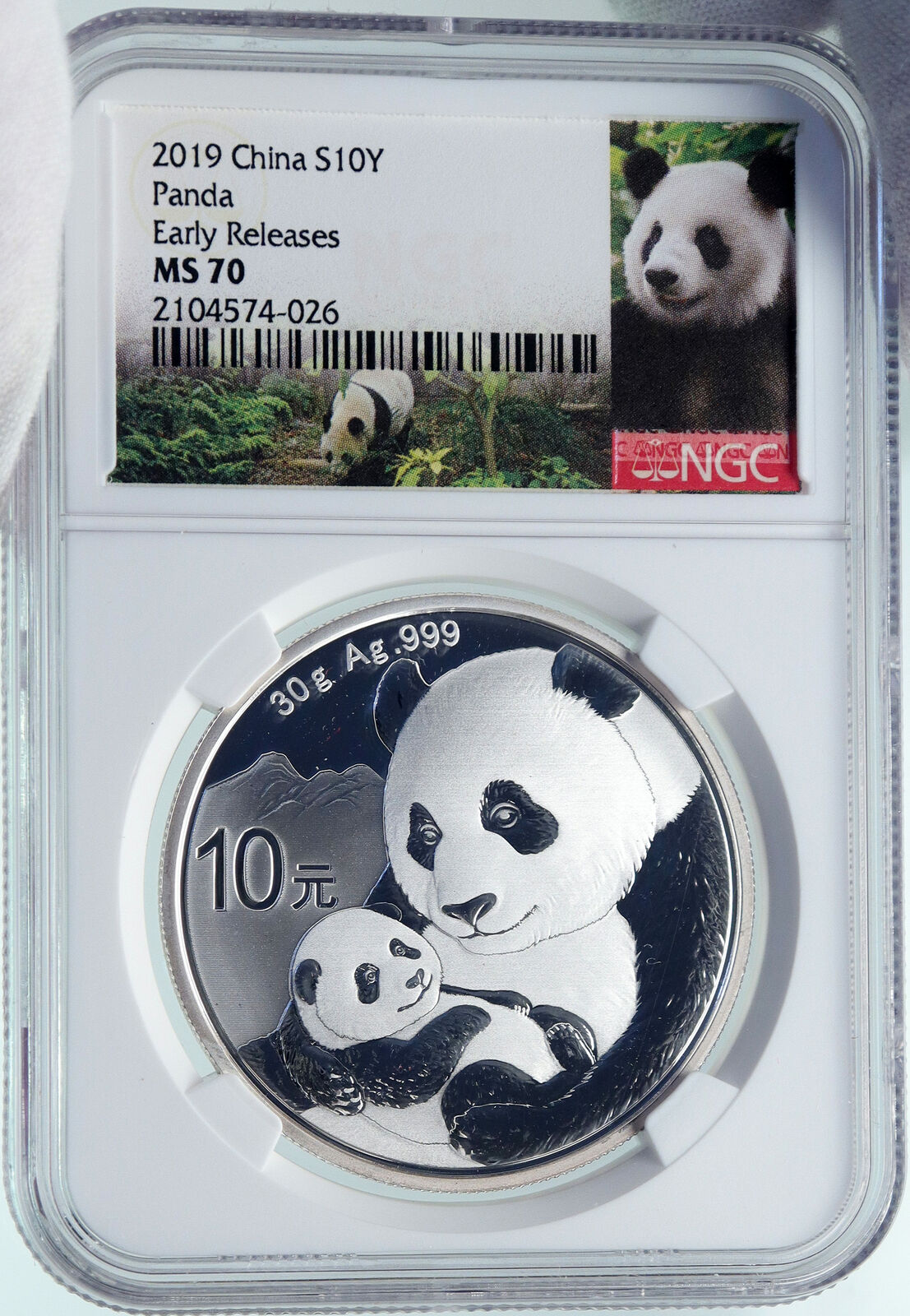 2019 CHINA PANDA MOM with CUB Proof Silver 10 Yuan Chinese Coin NGC MS70 i86684