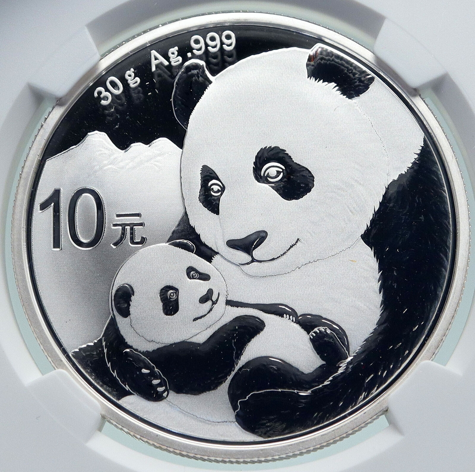 2019 CHINA PANDA MOM with CUB Proof Silver 10 Yuan Chinese Coin NGC MS70 i86682