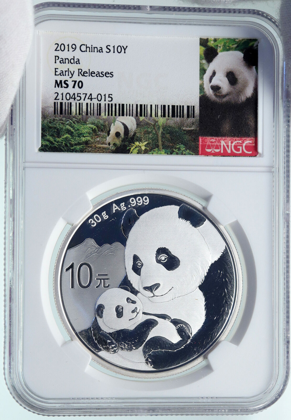 2019 CHINA PANDA MOM with CUB Proof Silver 10 Yuan Chinese Coin NGC MS70 i86682