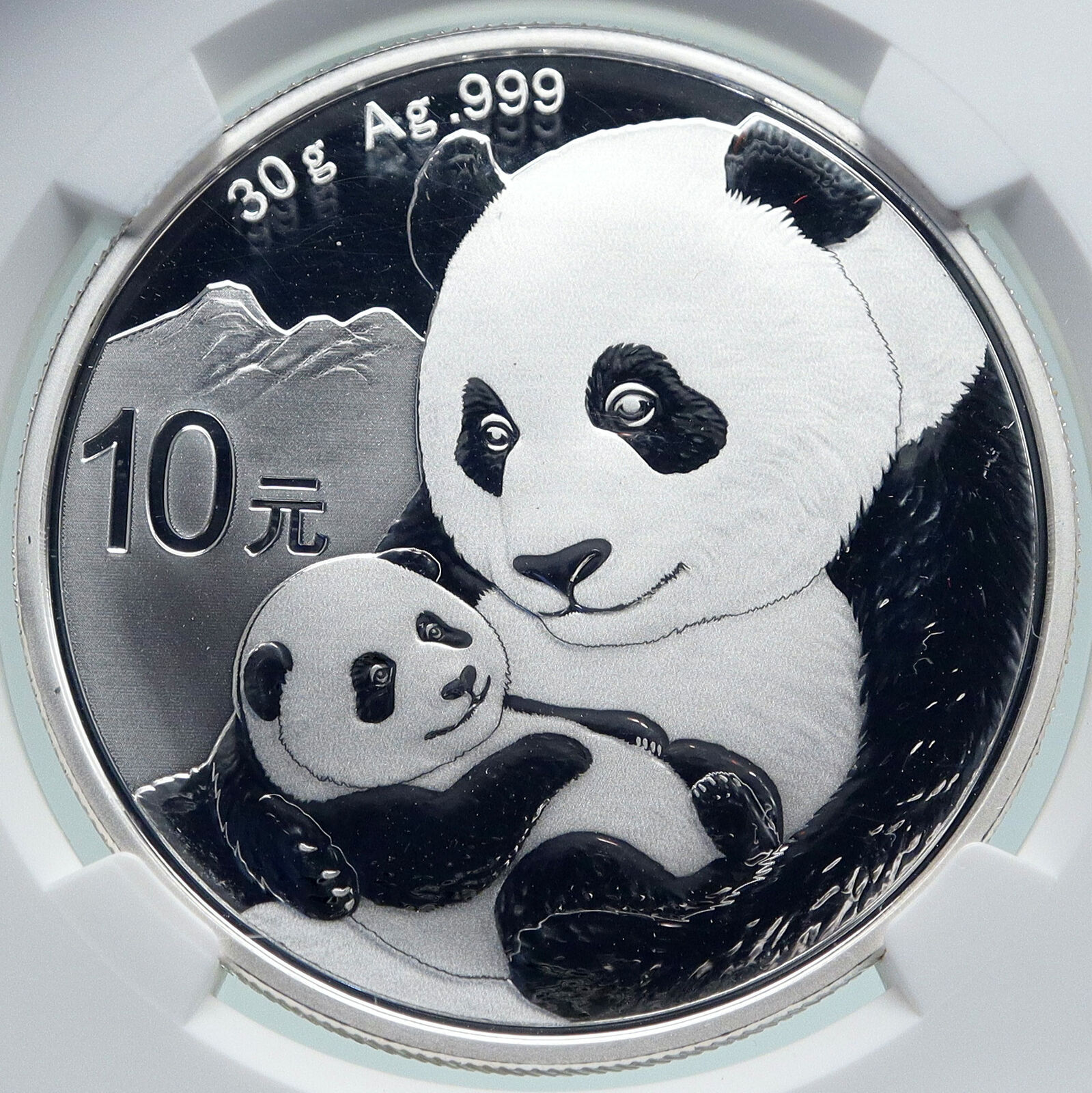 2019 CHINA PANDA MOM with CUB Proof Silver 10 Yuan Chinese Coin NGC MS70 i86680