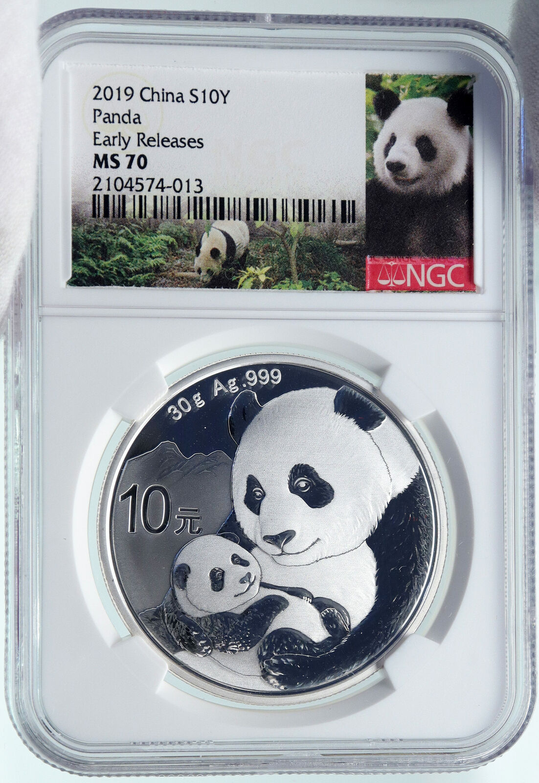 2019 CHINA PANDA MOM with CUB Proof Silver 10 Yuan Chinese Coin NGC MS70 i86680