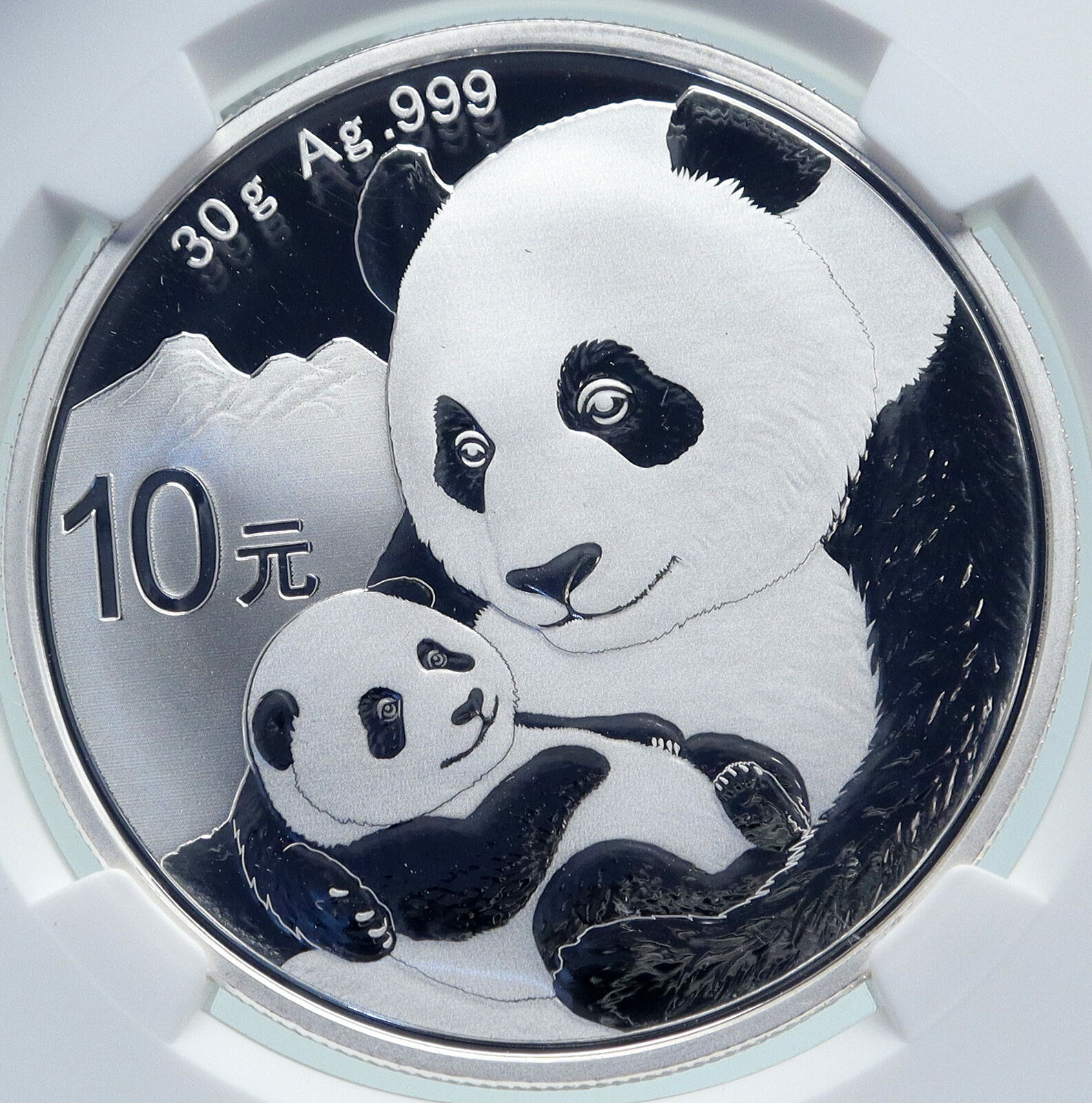 2019 CHINA PANDA MOM with CUB Proof Silver 10 Yuan Chinese Coin NGC MS70 i86686