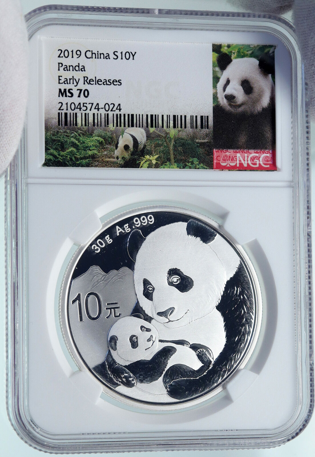 2019 CHINA PANDA MOM with CUB Proof Silver 10 Yuan Chinese Coin NGC MS70 i86686