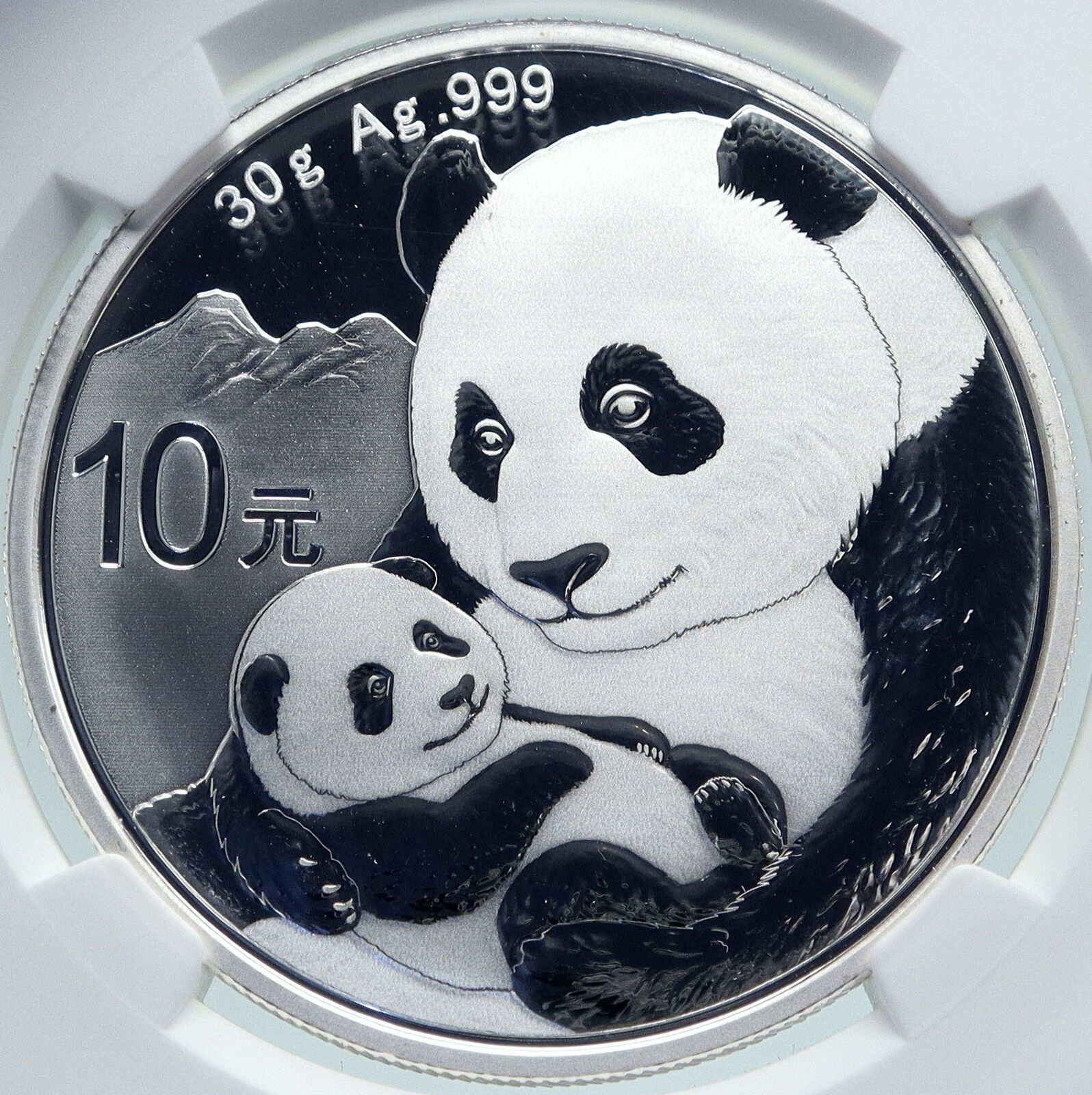 2019 CHINA PANDA MOM with CUB Proof Silver 10 Yuan Chinese Coin NGC MS70 i86685