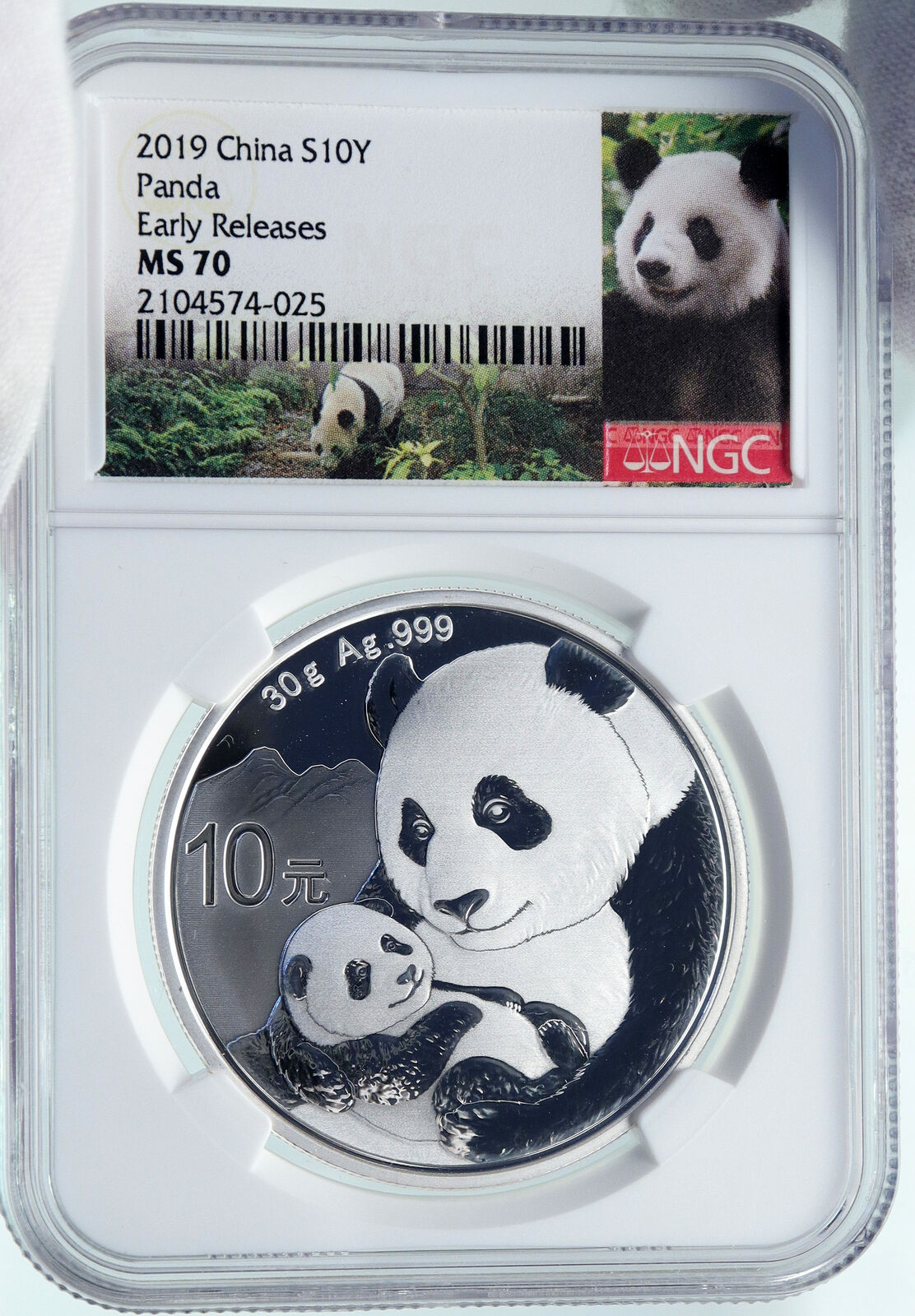 2019 CHINA PANDA MOM with CUB Proof Silver 10 Yuan Chinese Coin NGC MS70 i86685