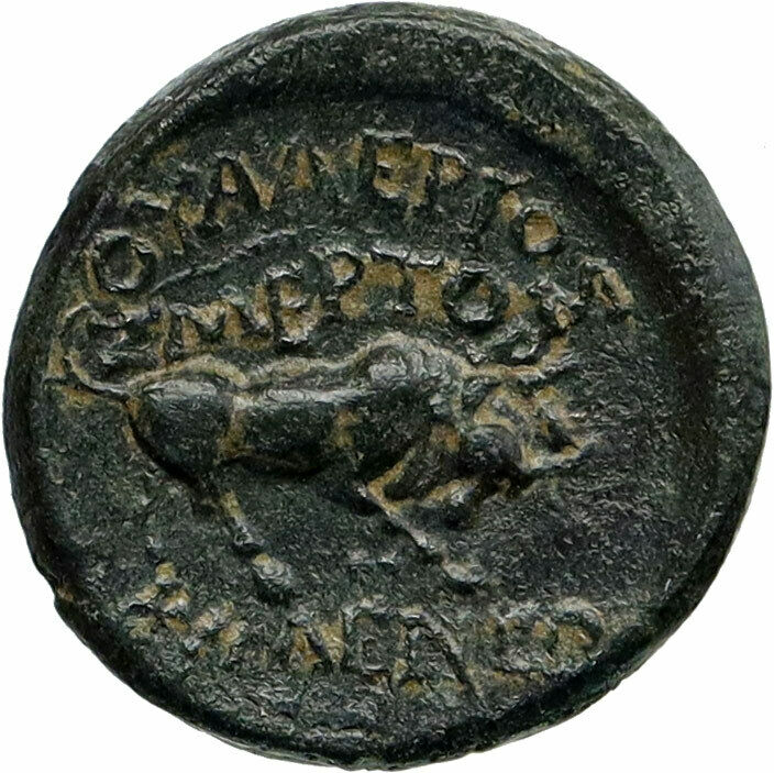 TIBERIUS Authentic Ancient 14AD Eumenea Phrygia Greek / Roman Coin BULL i86784