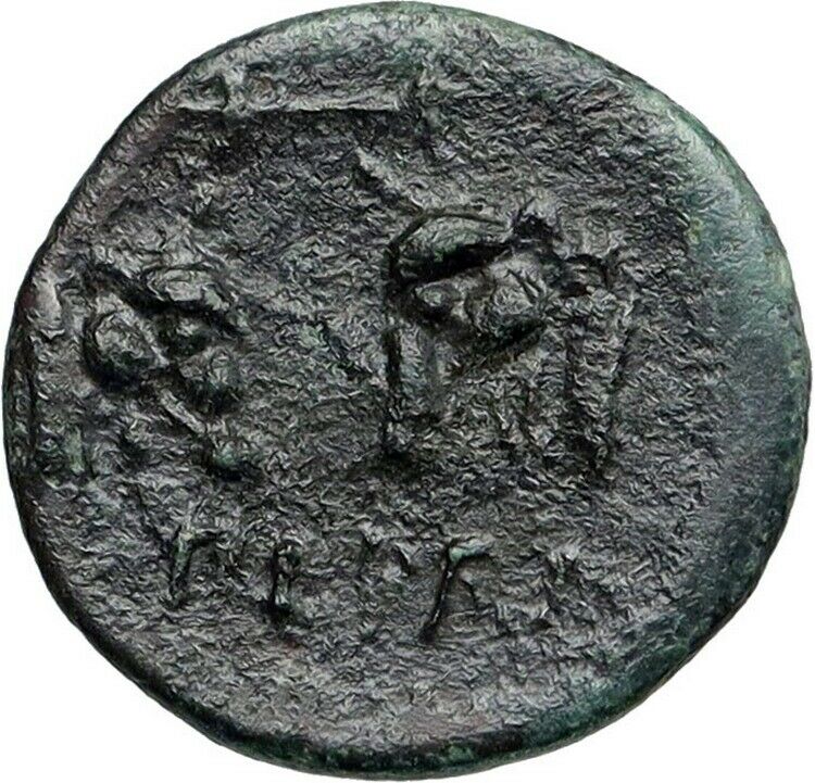 PERGAMON in MYSIA Authentic Ancient 310BC Genuine Greek Coin ATHENA BULLS i86790