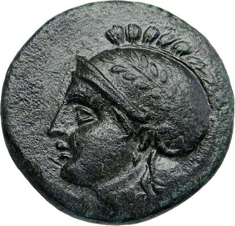 PERGAMON in MYSIA Authentic Ancient 310BC Genuine Greek Coin ATHENA BULLS i86790