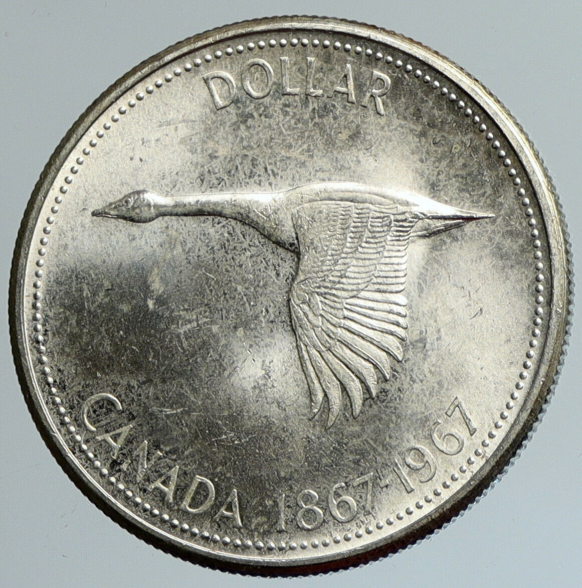 1967 CANADA CANADIAN Confederation Founding Goose OLD Silver Dollar Coin i111667