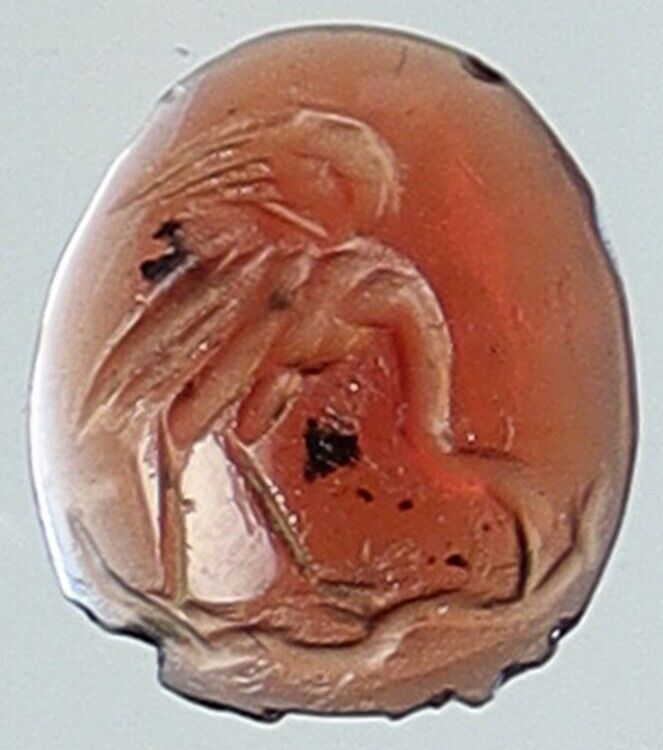 50BC - 200AD Ancient Carnelian ROMAN INTAGLIO STONE Swan OLD Artifact i111968