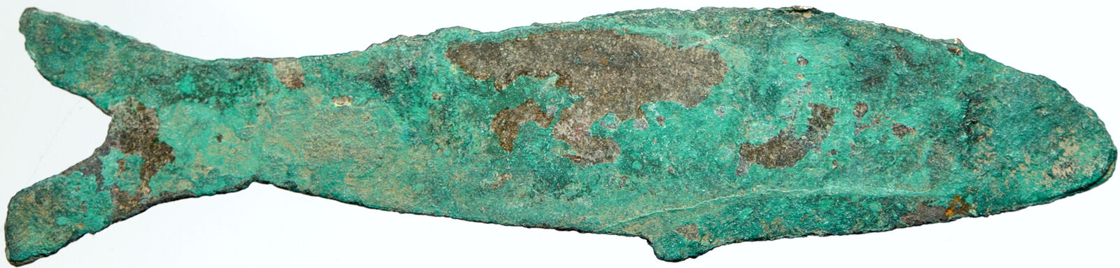 771-476 BC CHINESE Zhou Dynasty SPRING-AUTUMN Old Yu Pi FISH Money CHINA i102238