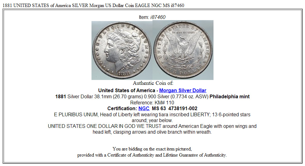 1881 UNITED STATES of America SILVER Morgan US Dollar Coin EAGLE i87460