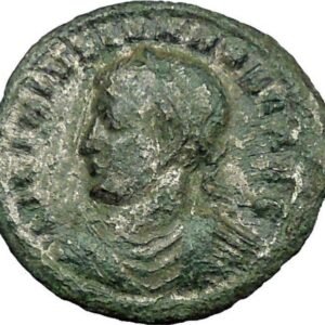 LICINIUS II Constantine the Great Nephew Roman Coin Wreath of success i34295