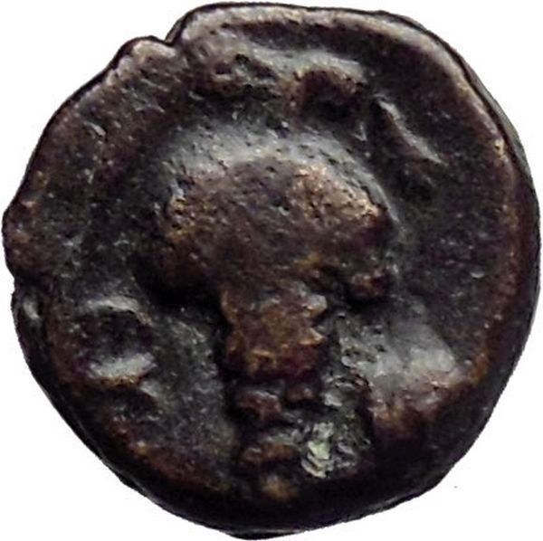 ERETRIA Euboea Euboia UNPUBLISHED? Rare Ancient Greek Coin Bull Grapes i30671