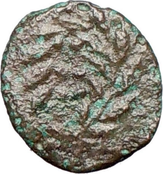 HIMERA Sicily 420BC Ancient Greek Coin Nymph & LAUREL WREATH of success i26268