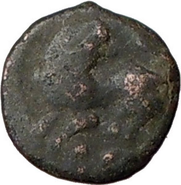 LEO I 457AD Rare Genuine Authentic Ancient Roman Coin LION i20682