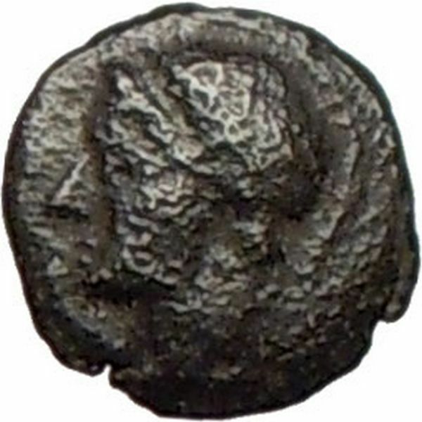 Pergamon in Asia Minor 300BC Very rare Greek Coin Athena Cult Bulls i28077