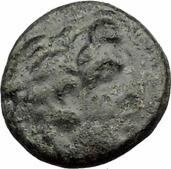 Apollonis in Lydia 2nd Cent BC Ancient Greek Coin Hercules Thunderbolt i31831