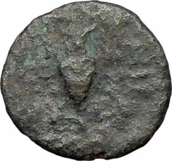 MYRINA Asia Minor 200BC Rare Ancient Greek Coin APOLLO Amphora i27727