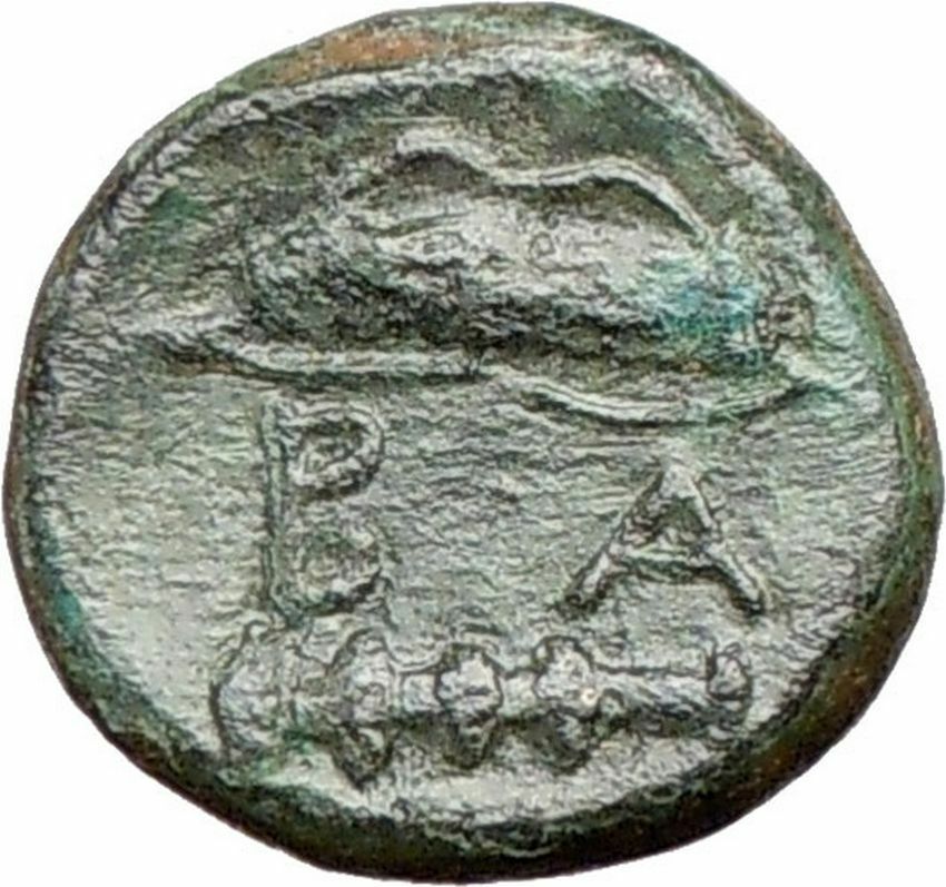 Alexander III the Great 336BC Ancient Greek Coin HERCULES Bow Club i26880